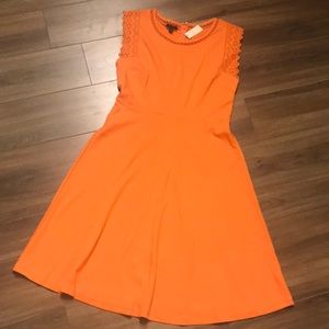 NWT Talbots cute Summer A-line Dress